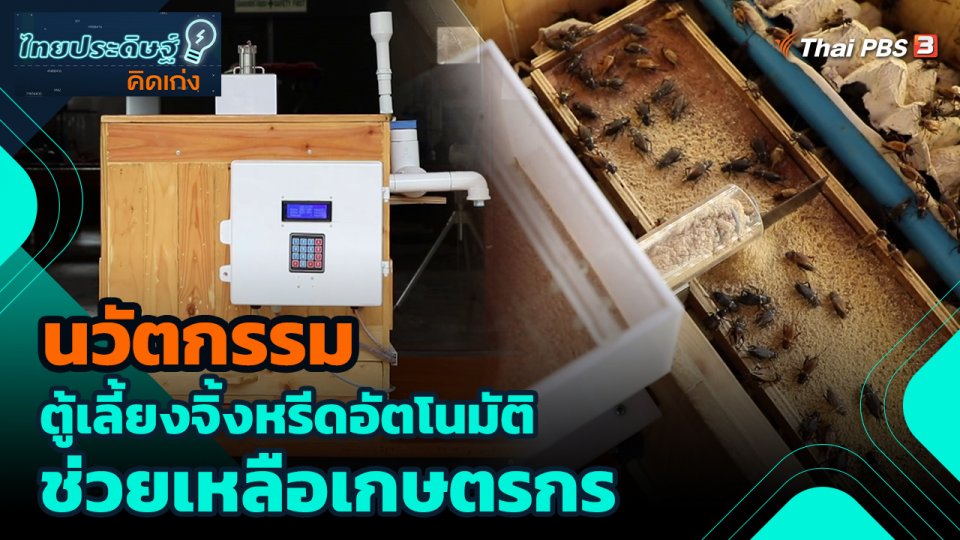 นวัตกรรม ตู้เลี้ยงจิ้งหรีดอัตโนมัติช่วยเหลือเกษตรกร