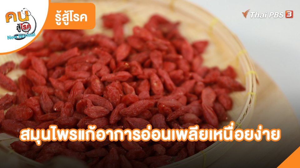 รู้สู้โรค: สมุนไพรแก้อาการอ่อนเพลียเหนื่อยง่าย