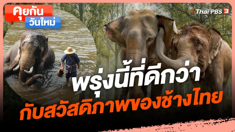 ​คุยกันวันใหม่ : พรุ่งนี้ที่ดีกว่ากับสวัสดิภาพของช้างไทย