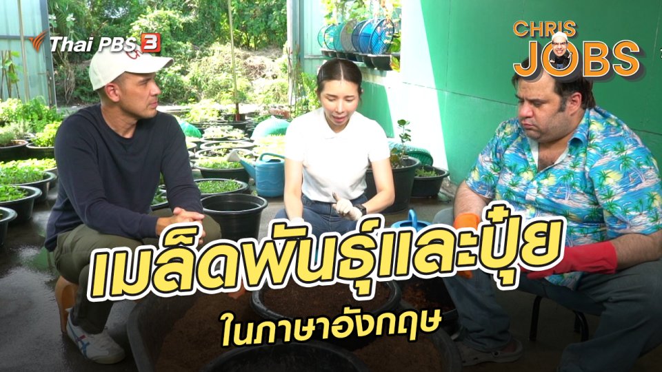 เมล็ดพันธุ์และปุ๋ยในภาษาอังกฤษ