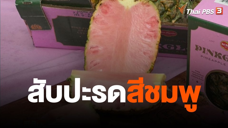 สับปะรดสีชมพู