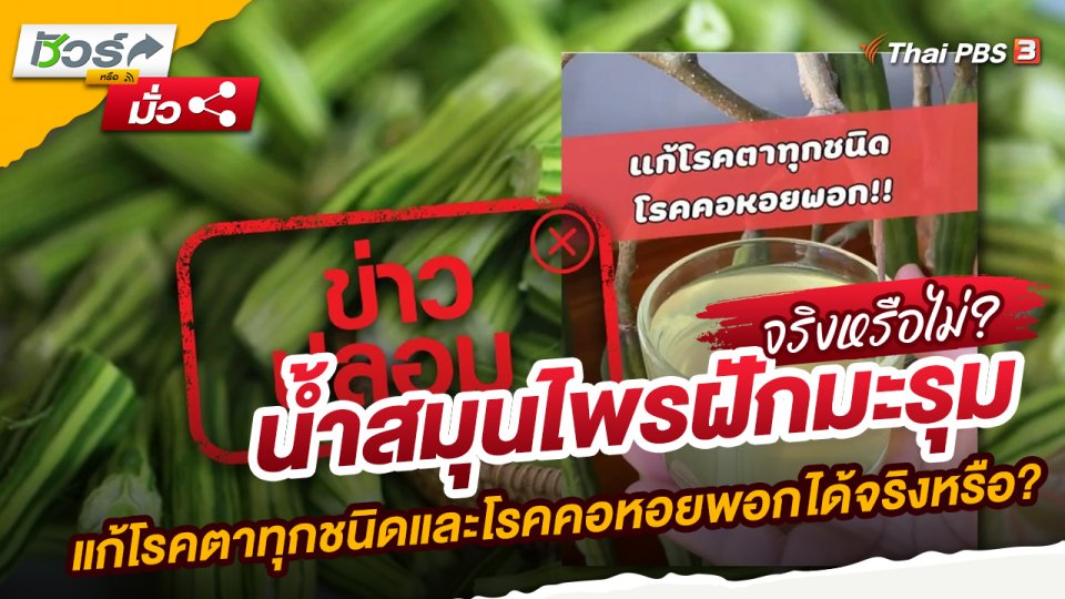 น้ำสมุนไพรฝักมะรุมแก้โรคตาทุกชนิดและโรคคอหอยพอกได้จริงหรือ?