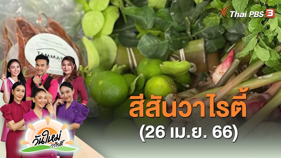 สีสันวาไรตี้ (26 เม.ย. 66)