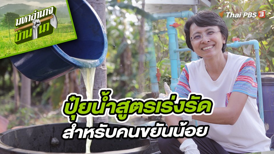 ปุ๋ยน้ำสูตรเร่งรัดสำหรับคนขยันน้อย