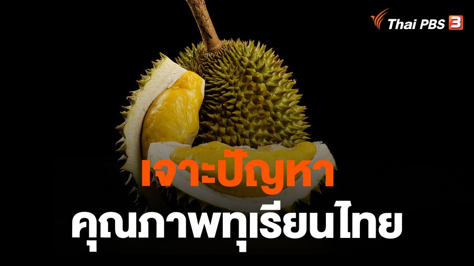 เจาะปัญหา คุณภาพทุเรียนไทย