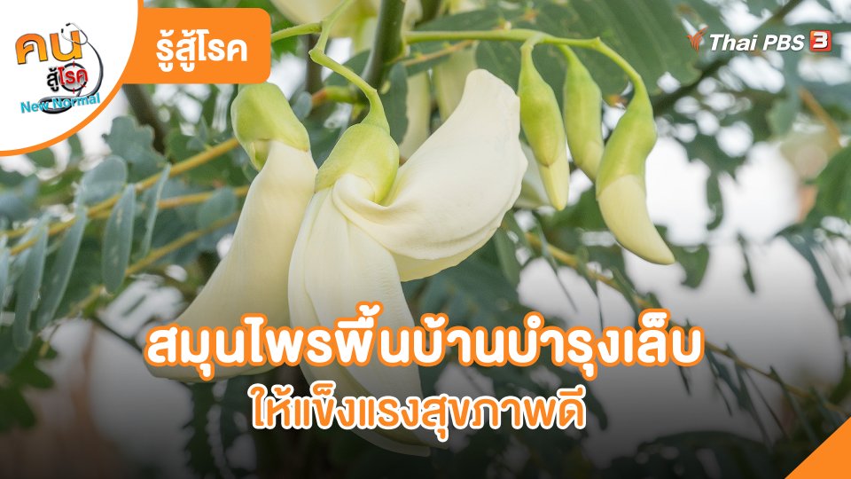 รู้สู้โรค: สมุนไพรพื้นบ้านบำรุงเล็บให้แข็งแรงสุขภาพดี