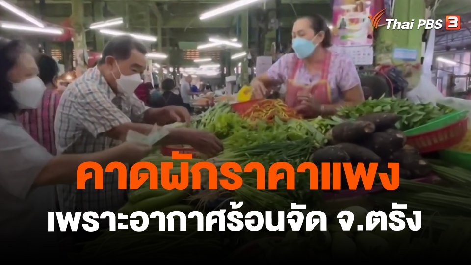 ​คาดผักราคาแพงเพราะอากาศร้อนจัด จ.ตรัง