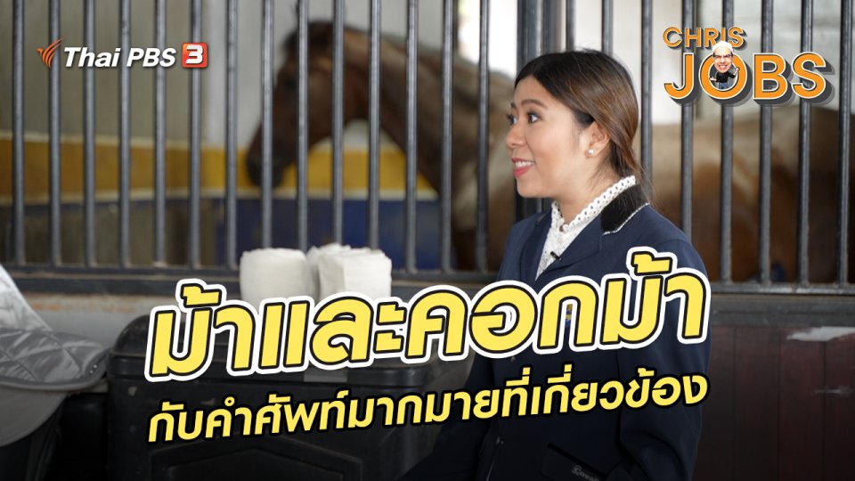 ม้าและคอกม้า กับคำศัพท์มากมายที่เกี่ยวข้อง