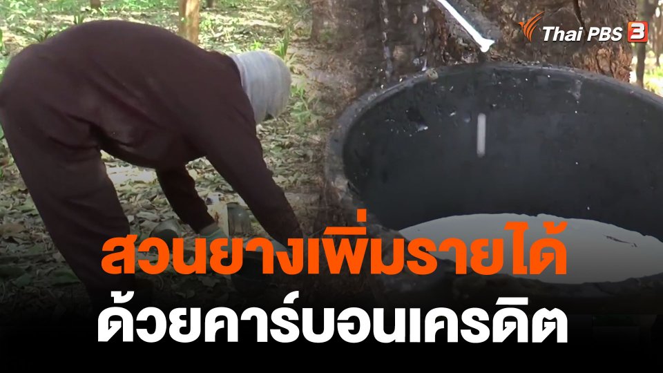 สวนยางเพิ่มรายได้ ด้วยคาร์บอนเครดิต