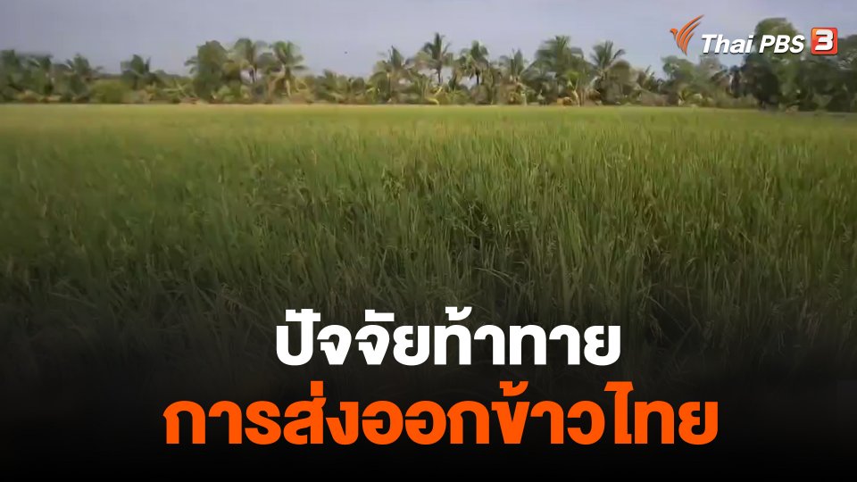 จับสัญญาณเศรษฐกิจ : ปัจจัยท้าทาย การส่งออกข้าวไทย