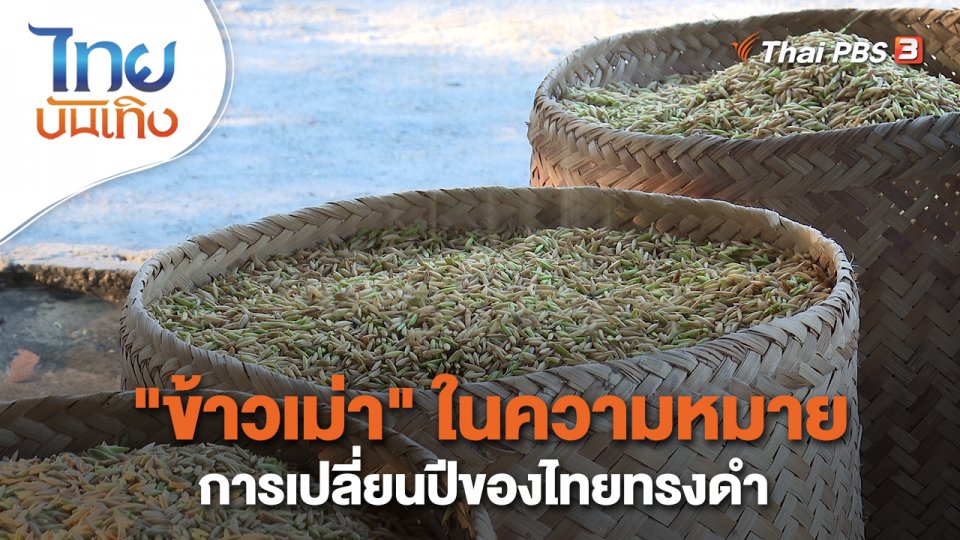 เรื่องนี้มีตำนาน : "ข้าวเม่า" ในความหมายการเปลี่ยนปีของไทยทรงดำ