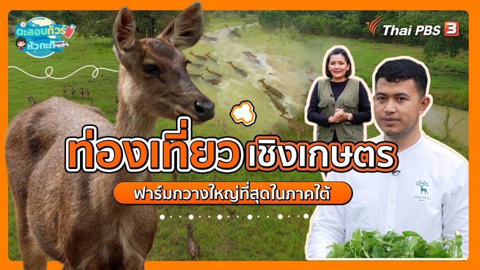 ตะลอนทัวร์หัวกะทิ : ท่องเที่ยวเชิงเกษตร ฟาร์มกวางใหญ่ที่สุดในภาคใต้