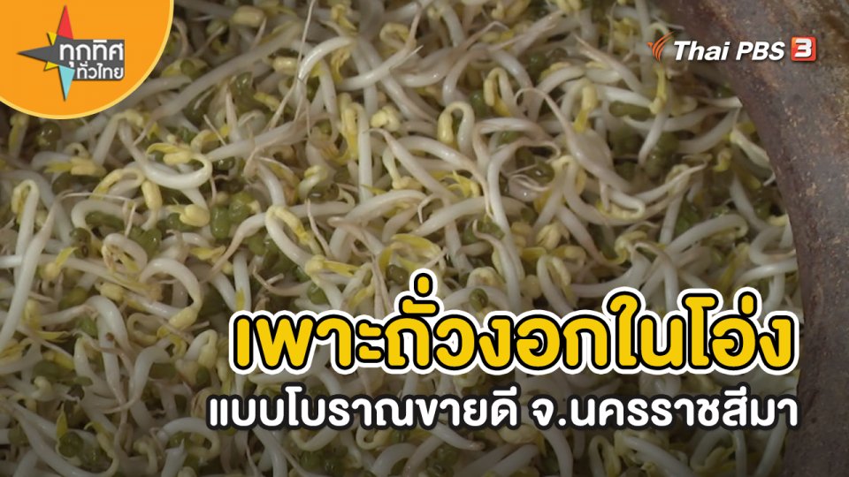 ​อาชีพทั่วไทย : เพาะถั่วงอกในโอ่งแบบโบราณขายดี จ.นครราชสีมา