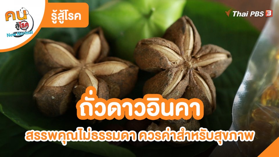 ​รู้สู้โรค : ถั่วดาวอินคาสรรพคุณไม่ธรรมดา ควรค่าสำหรับสุขภาพ