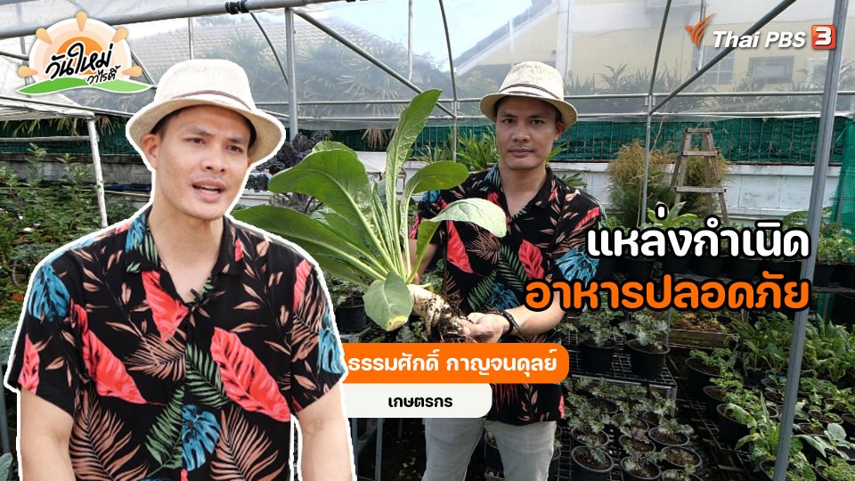 ​พอดีพอเพียง : แหล่งกำเนิดอาหารปลอดภัย