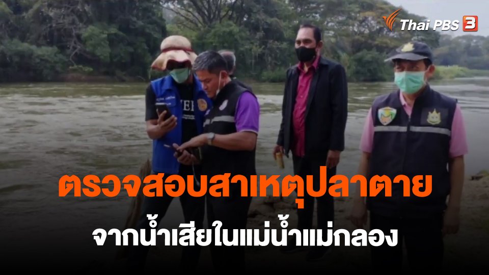 ​ตรวจสอบสาเหตุปลาตายจากน้ำเสียในแม่น้ำแม่กลอง