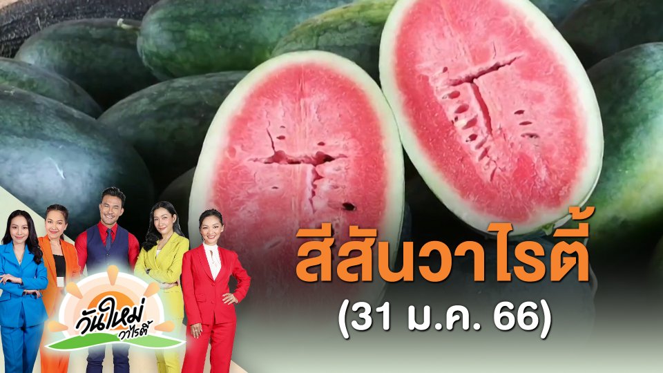 ​สีสันวาไรตี้ (31 ม.ค. 66)