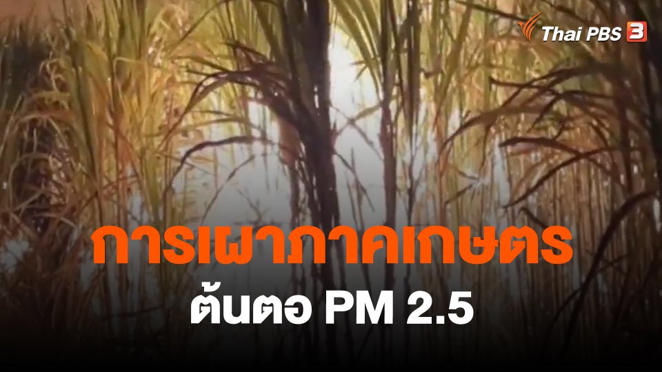 จับสัญญาณเศรษฐกิจ : การเผาภาคเกษตร ต้นตอ PM 2.5