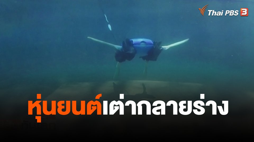 หุ่นยนต์เต่ากลายร่าง