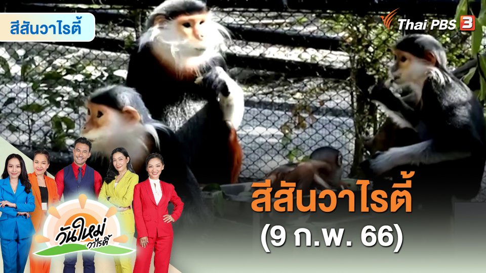 สีสันวาไรตี้ (9 ก.พ. 66)