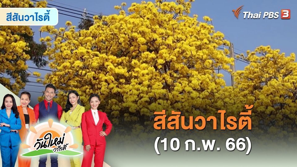 สีสันวาไรตี้ (10 ก.พ. 66)
