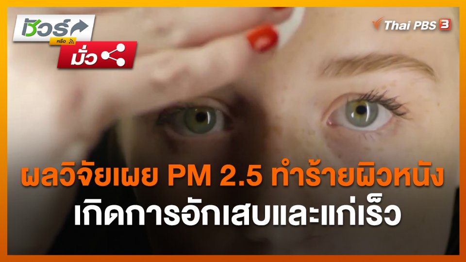 ชัวร์หรือมั่ว : ผลวิจัยเผย PM 2.5 ทำร้ายผิวหนัง เกิดการอักเสบและแก่เร็ว