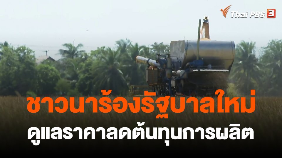 ​กินอยู่รู้รอบ : ชาวนาร้องรัฐบาลใหม่ดูแลราคาลดต้นทุนการผลิต