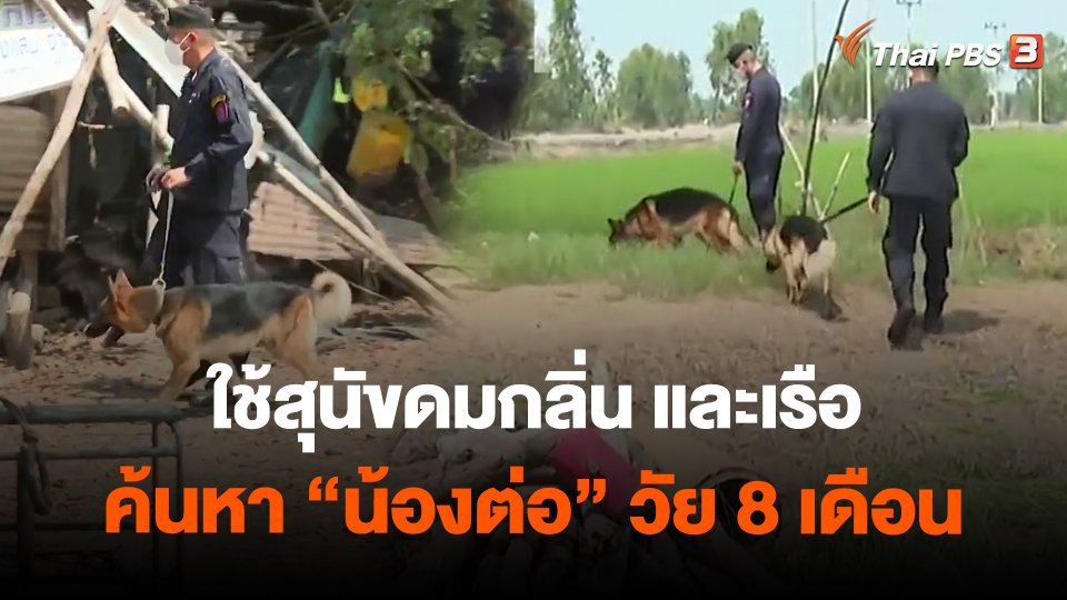 ​ใช้สุนัขดมกลิ่น และเรือ ค้นหา "น้องต่อ" วัย 8 เดือน