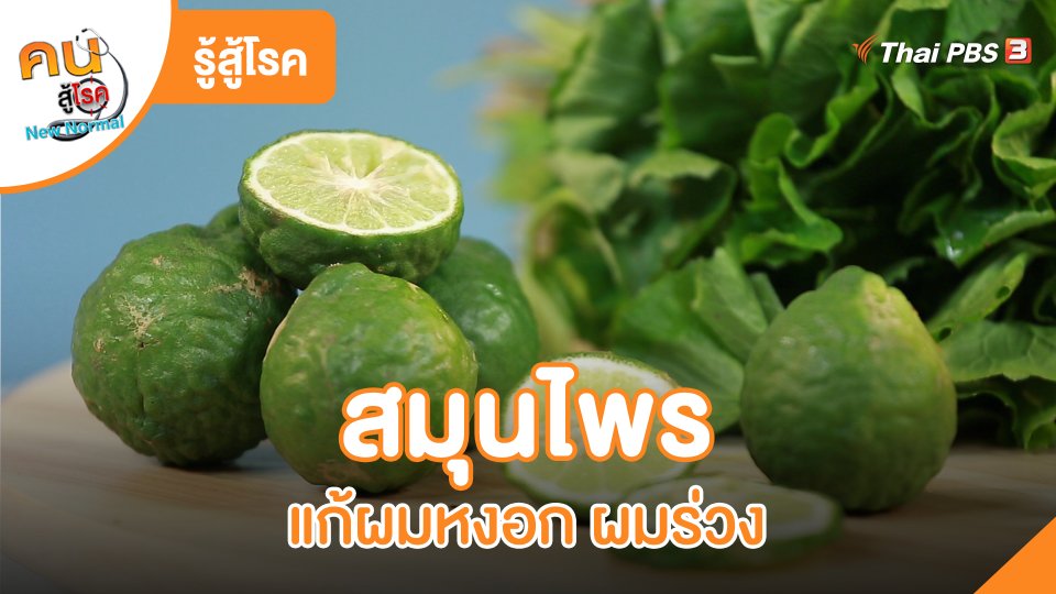 รู้สู้โรค : สมุนไพรแก้ผมหงอก ผมร่วง