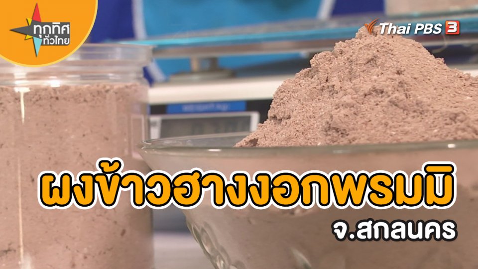 อาชีพทั่วไทย : ผงข้าวฮางงอกพรมมิ จ.สกลนคร