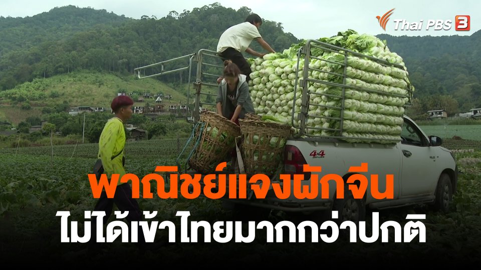 ​กินอยู่รู้รอบ : พาณิชย์แจงผักจีนไม่ได้เข้าไทยมากกว่าปกติ