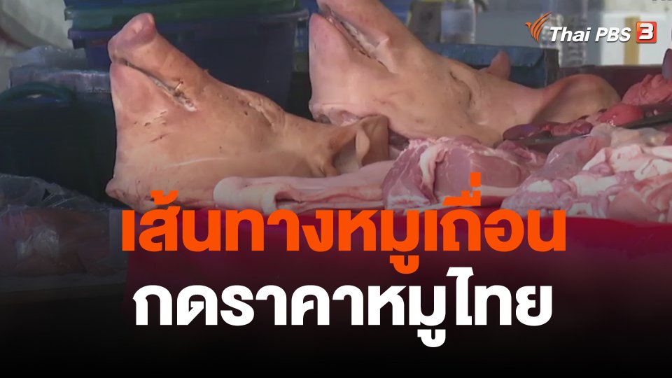 เส้นทางหมูเถื่อน กดราคาหมูไทย