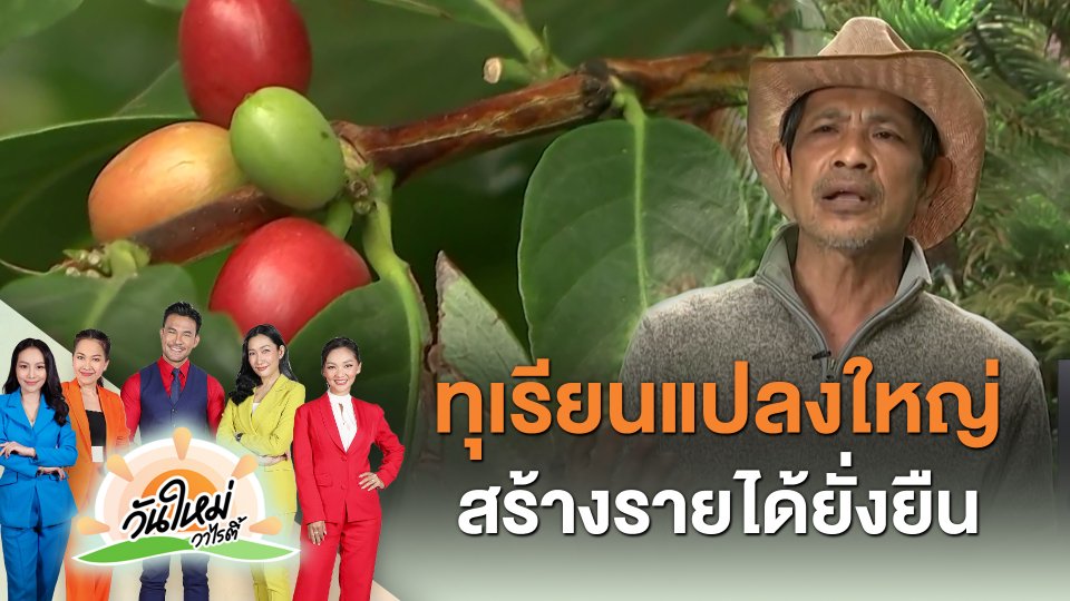 ​พอดีพอเพียง : ทุเรียนแปลงใหญ่ สร้างรายได้ยั่งยืน