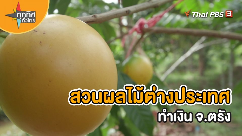 อาชีพทั่วไทย : สวนผลไม้ต่างประเทศทำเงิน จ.ตรัง