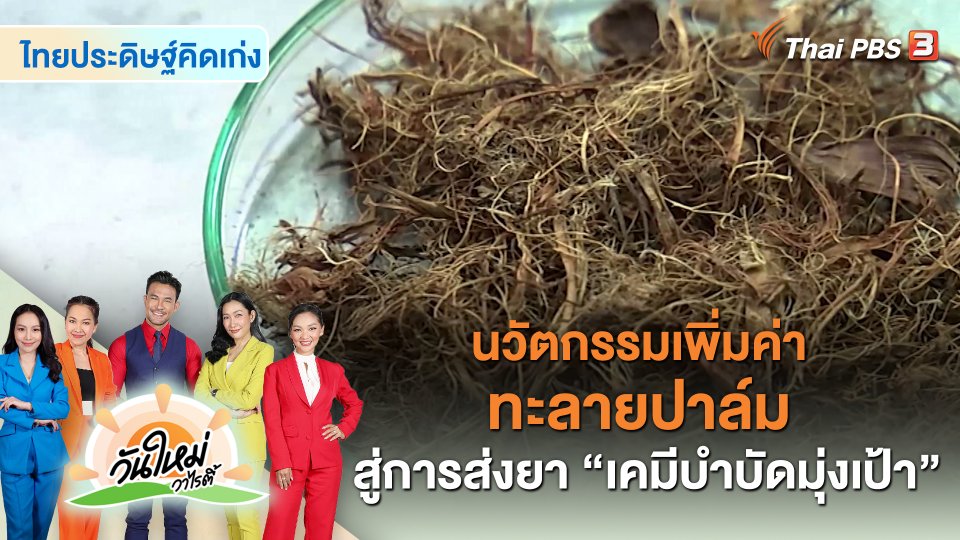 ไทยประดิษฐ์คิดเก่ง : นวัตกรรมเพิ่มค่าทะลายปาล์ม สู่การส่งยา "เคมีบำบัดมุ่งเป้า"