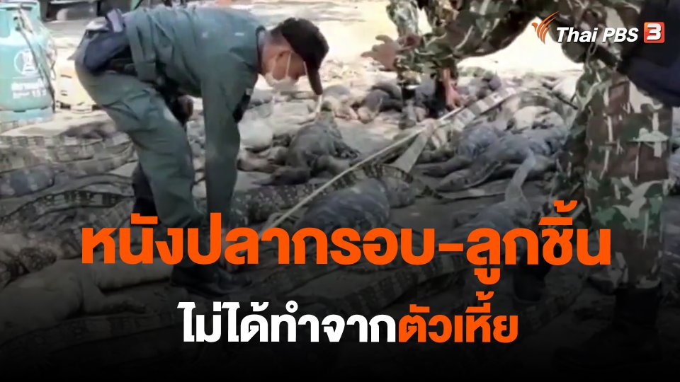 หนังปลากรอบ-ลูกชิ้น ไม่ได้ทำจากตัวเหี้ย