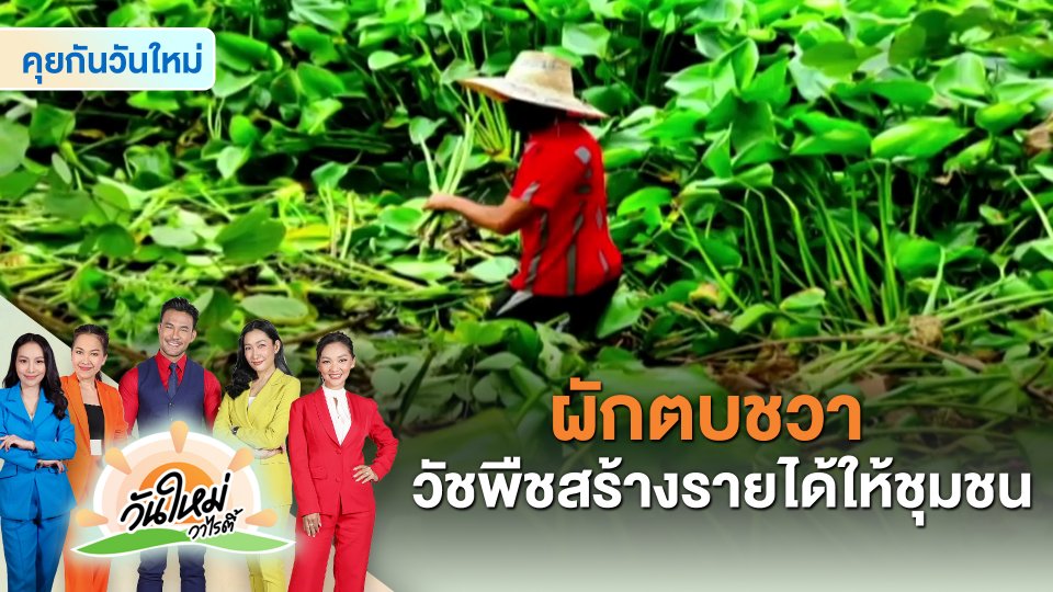 ​คุยกันวันใหม่ : ผักตบชวา วัชพืชสร้างรายได้ให้ชุมชน
