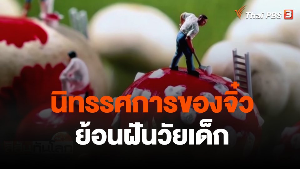 นิทรรศการของจิ๋วย้อนฝันวัยเด็ก