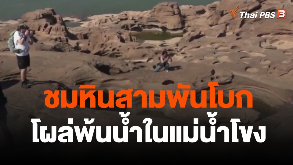 ชมหินสามพันโบก โผล่พ้นน้ำในแม่น้ำโขง