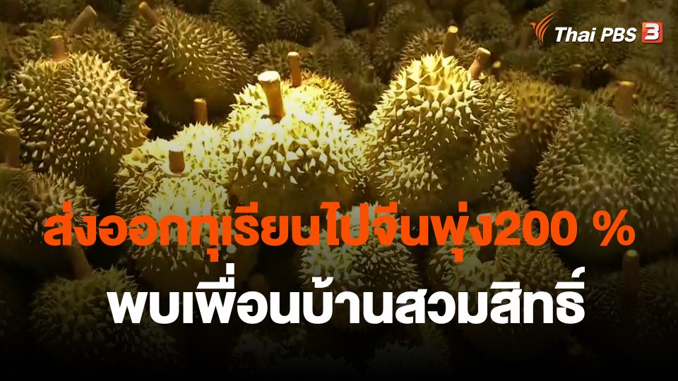 ส่งออกทุเรียนไปจีนพุ่ง200 % - พบเพื่อนบ้านสวมสิทธิ์