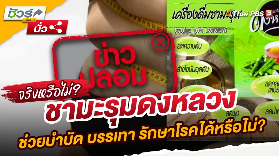 ​ชัวร์หรือมั่ว : ชามะรุมดงหลวง ช่วยบำบัด บรรเทา รักษาโรคได้หรือไม่?