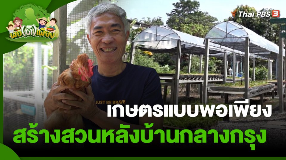 ​พอดีพอเพียง : เกษตรแบบพอเพียง สร้างสวนหลังบ้านกลางกรุง