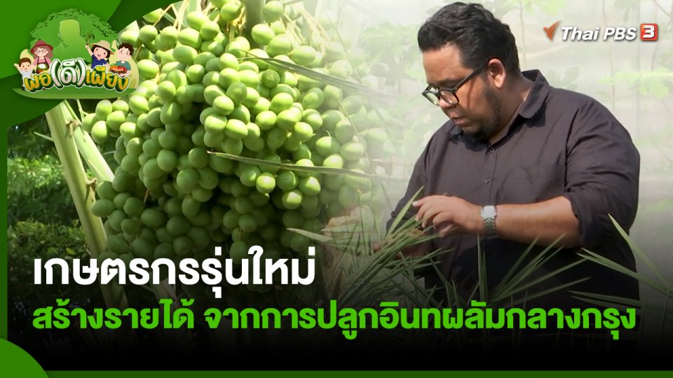 เกษตรกรรุ่นใหม่ สร้างรายได้ จากการปลูกอินทผลัมกลางกรุง