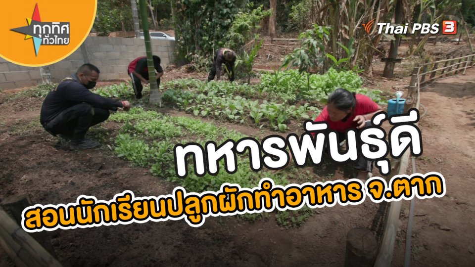 อาชีพทั่วไทย : ทหารพันธุ์ดีสอนนักเรียนปลูกผักทำอาหารกลางวัน จ.ตาก