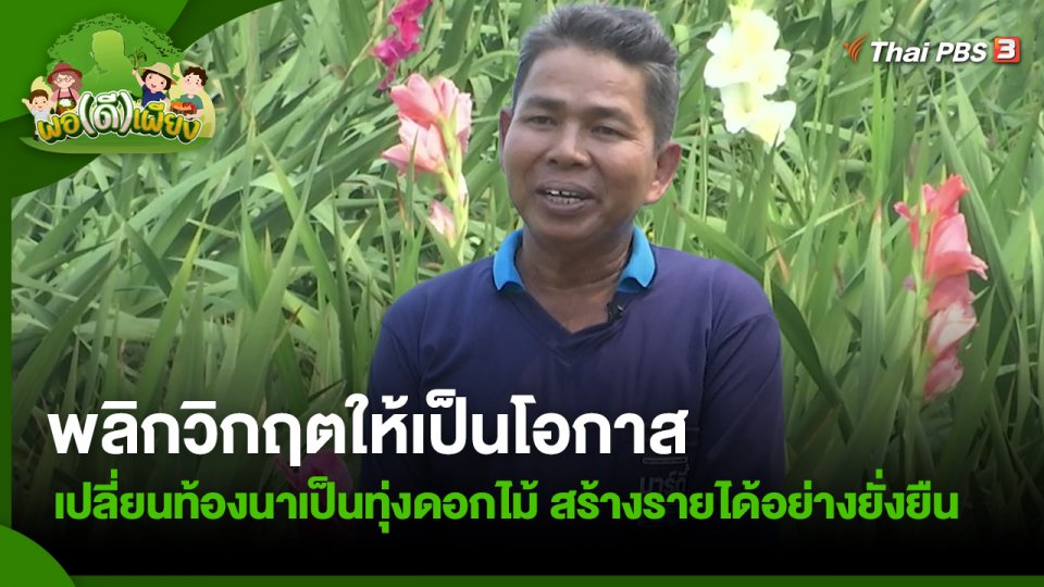 พลิกวิกฤตให้เป็นโอกาส เปลี่ยนท้องนาเป็นทุ่งดอกไม้ สร้างรายได้อย่างยั่งยืน