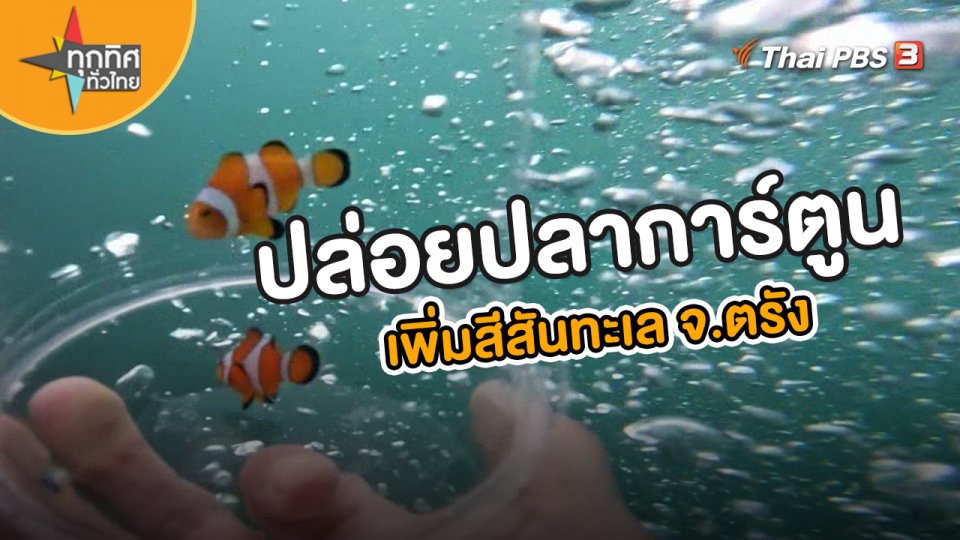 ปล่อยปลาการ์ตูนเพิ่มสีสันทะเล จ.ตรัง