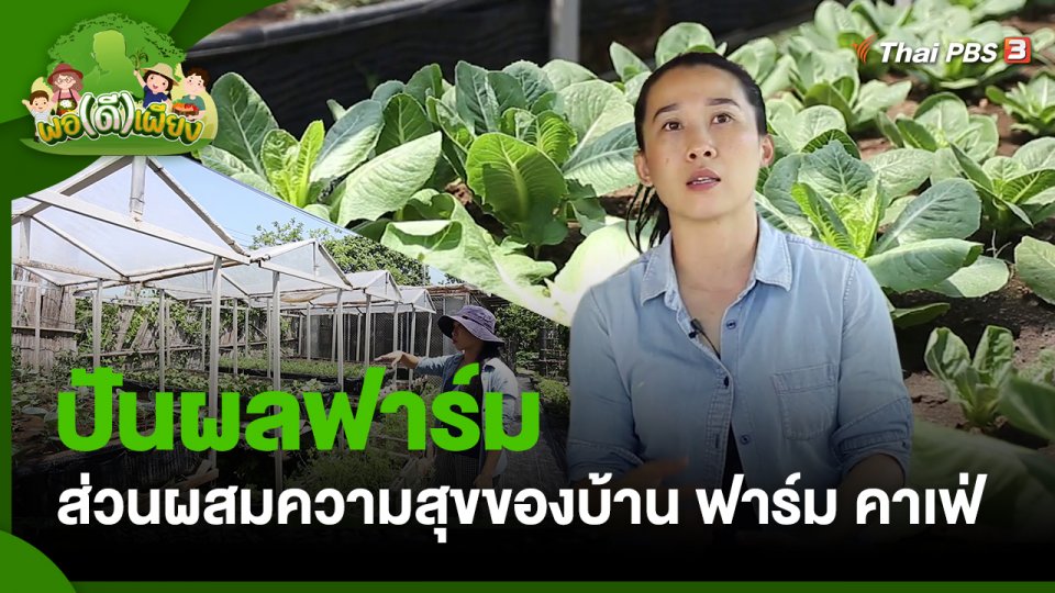 พอดีพอเพียง : ปันผลฟาร์ม ส่วนผสมความสุขของบ้าน ฟาร์ม คาเฟ่