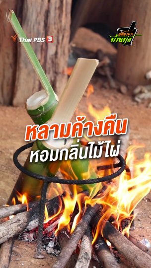 หลามค้างคืน หอมกลิ่นไม้ไผ่