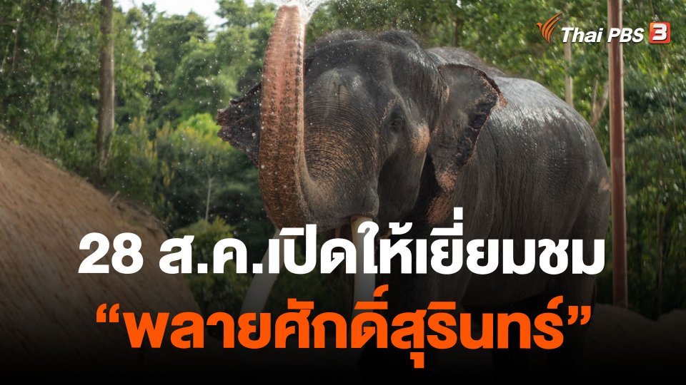 28 ส.ค.เปิดให้เยี่ยมชม "พลายศักดิ์สุรินทร์"