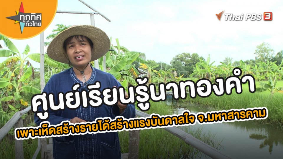 อาชีพทั่วไทย : ศูนย์เรียนรู้นาทองคำ เพาะเห็ดสร้างรายได้สร้างแรงบันดาลใจ จ.มหาสารคาม